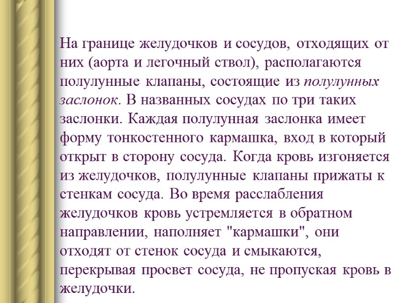 На границе желудочков и сосудов, отходящих от них (аорта и легочный ствол), располагаются полулунные